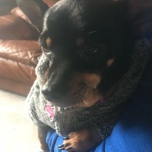 Meet your Posher, Diana